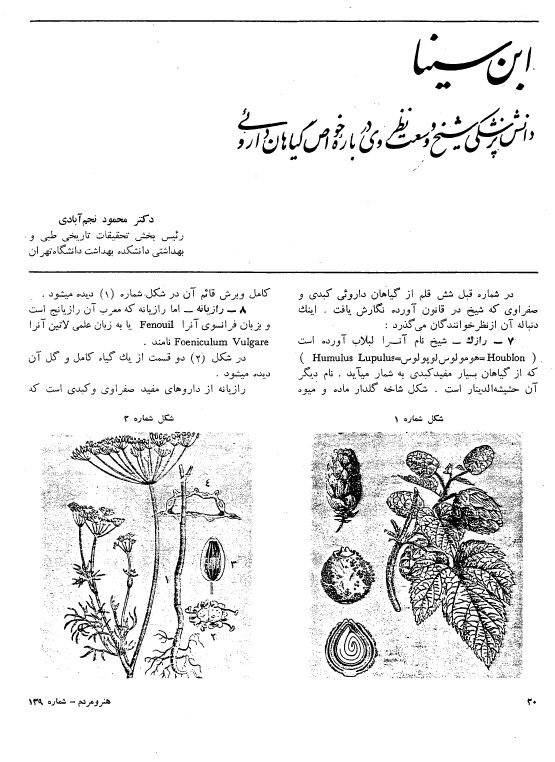ابن سینا دانش پزشکی شیخ و وسعت نظری وی درباره خواص گیاهان دارویی